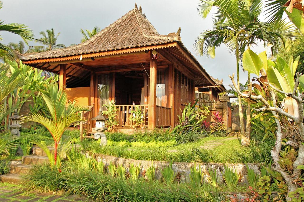 Vinarya Villa Ubud Esterno foto